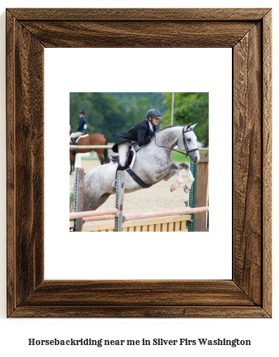 horseback riding near me in Silver Firs, Washington